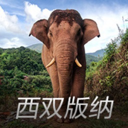 发霉橘子在二手平台卖到599元 网友：到底是谁在买啊？